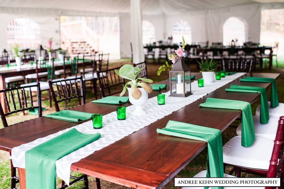 Wooden table setup with a touch of green