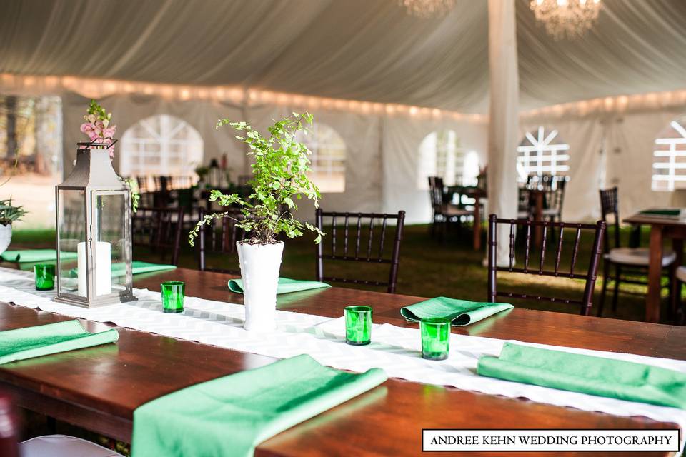 Table setup with plant decors