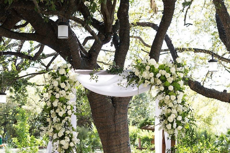 Chuppah