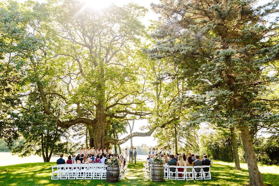 The Hidden Vineyard Wedding