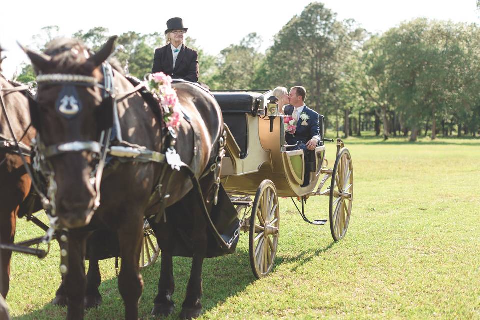 Barn Wedding with Carriage