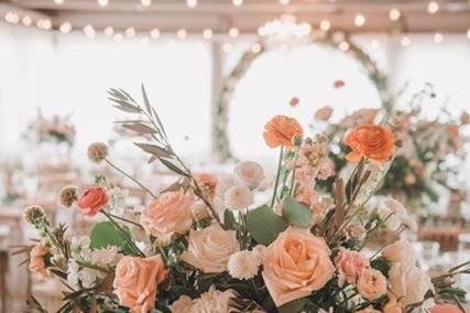 Muted Orange and Peach