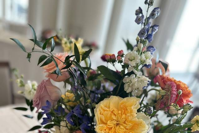 Colorful Reception