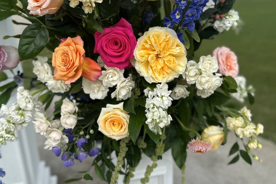 Summer Colors