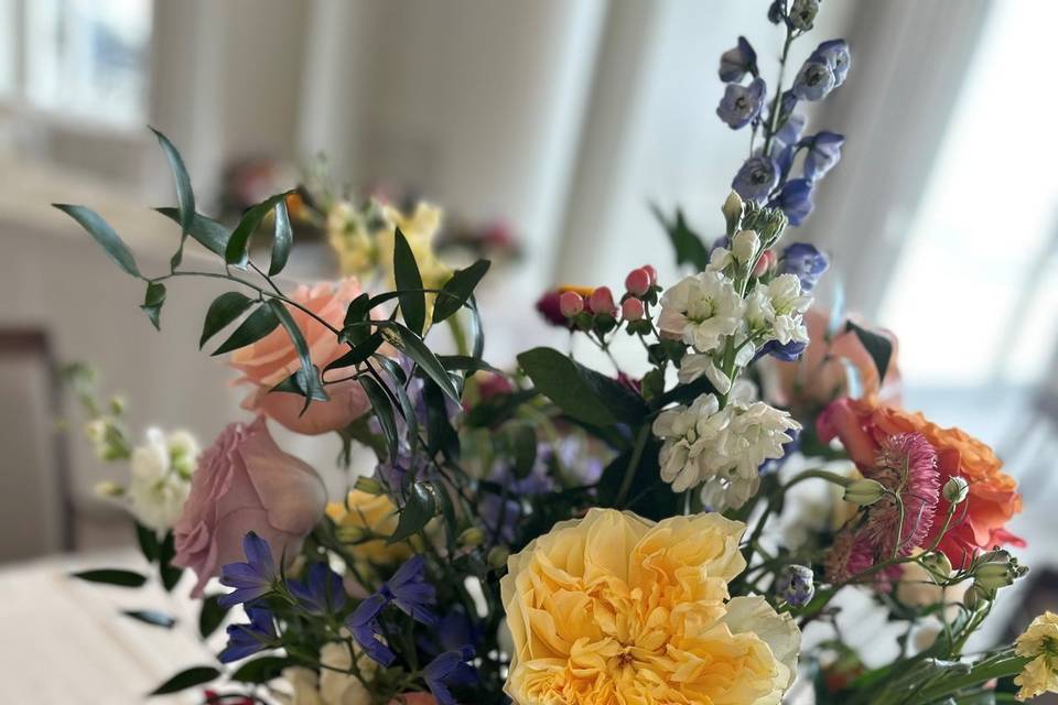 Colorful Reception