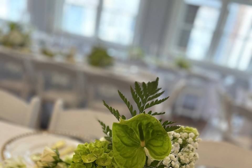 Haley-Reception
