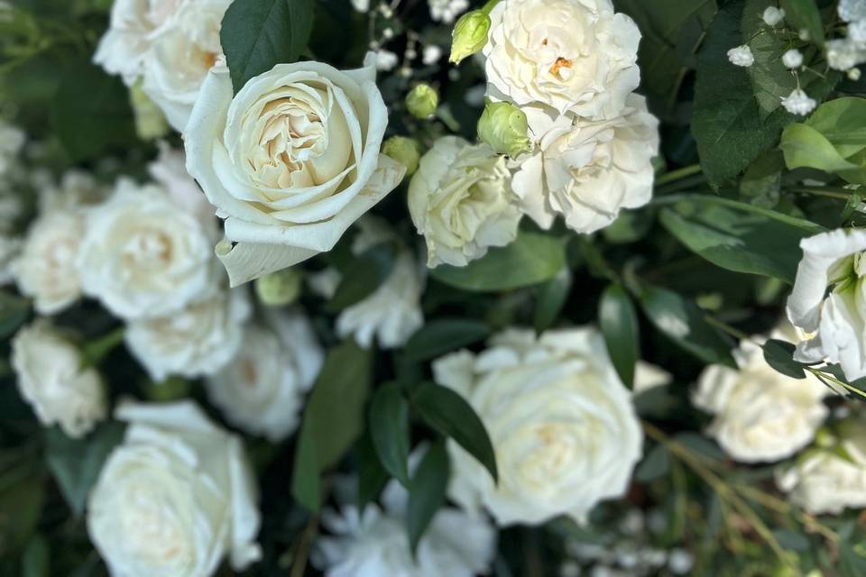 Andrea-Classic White Magnolia