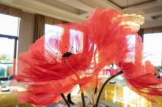 Big Blooms Giant Flowers