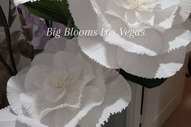 White Wedding Giant Flowers