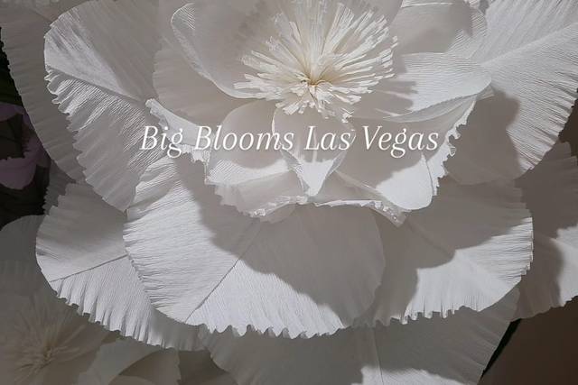 White Wedding Giant Flowers