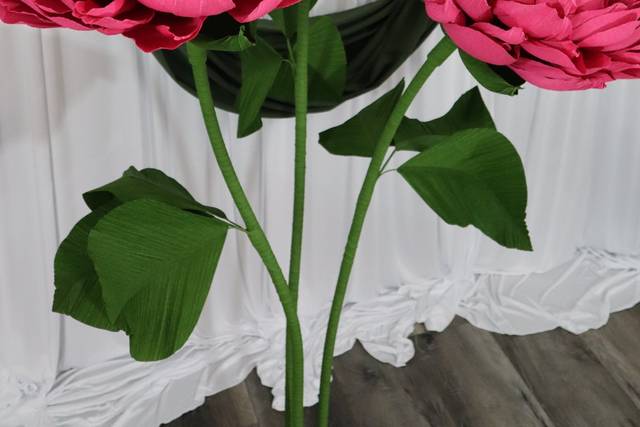Giant Flowers Peony (1).JPG