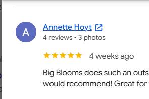 Google Reviews