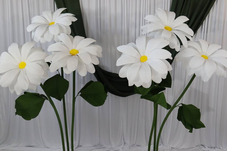 Giant Flowers Daisy (1).JPG