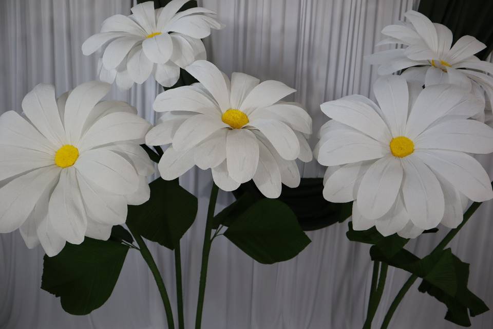 Giant Flowers Daisy (3).JPG