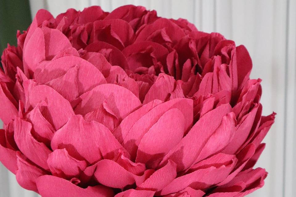 Giant Flowers Peony (4).JPG