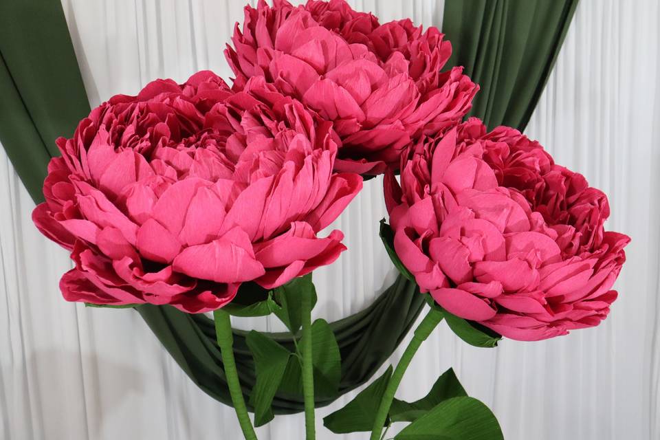 Giant Flowers Peony (6).JPG