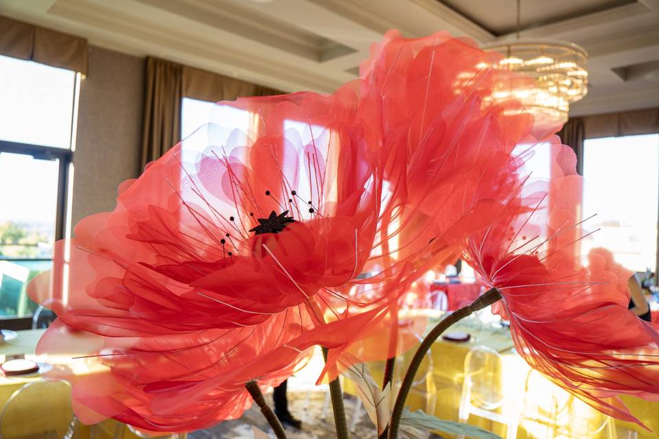 Big Blooms Giant Flowers