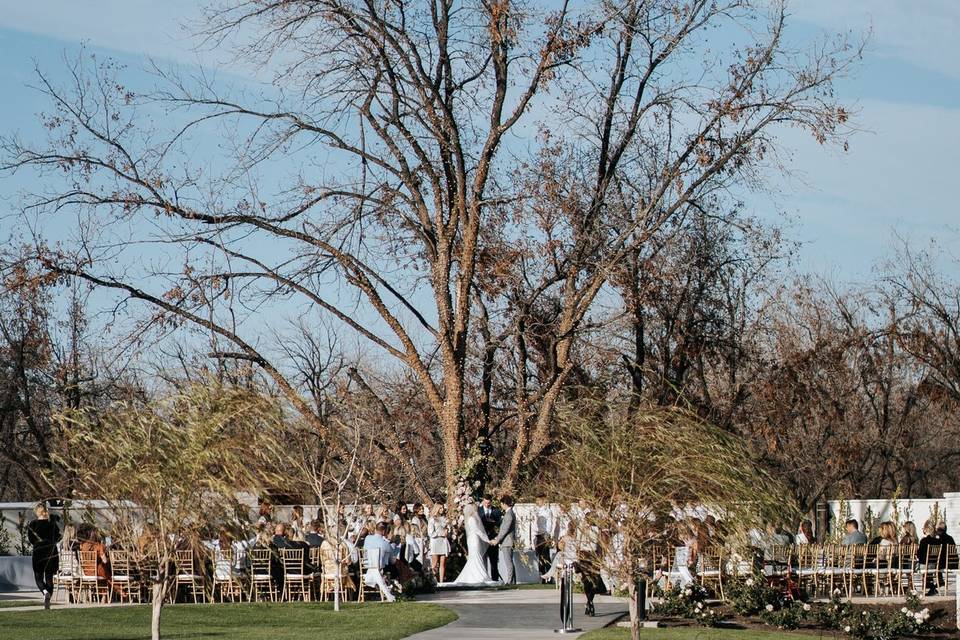 Grandfather tree ceremony