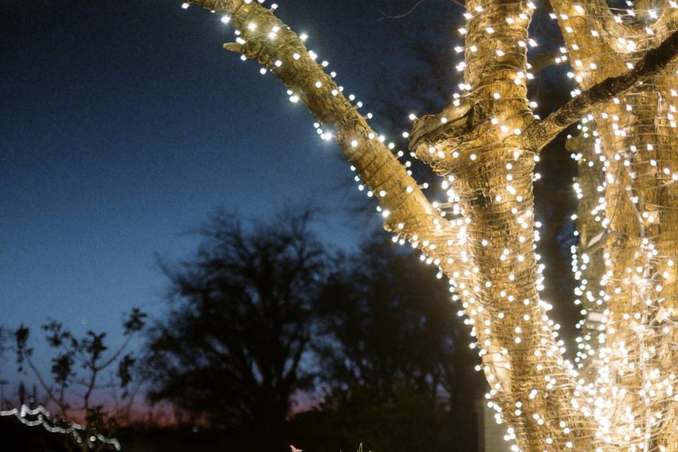 The Gardens at Pecan Lake