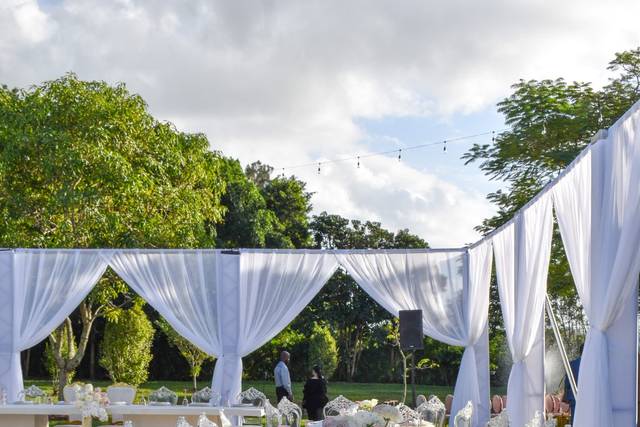 Draped Reception