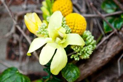 Yellow and Green Bouquet. Photography by Jacob Arthur Photography