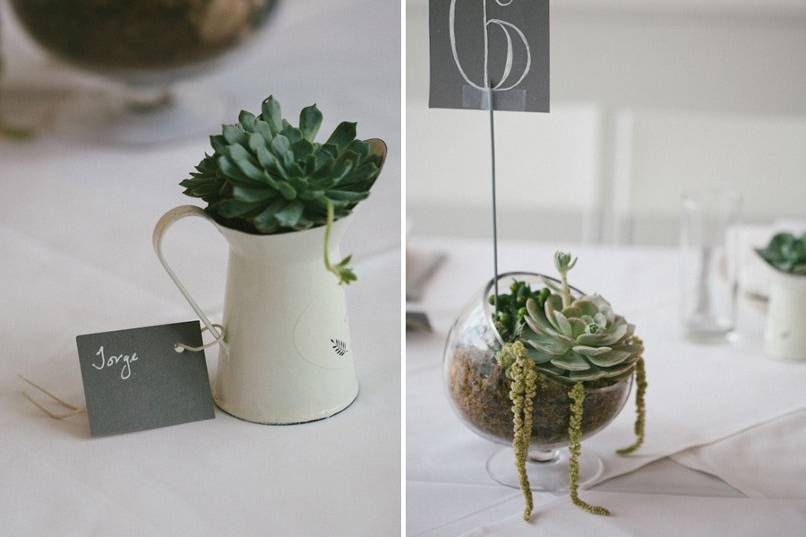 Succulent Centerpieces and hanging globes