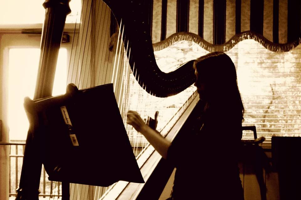 Harpist Michelle Jamesson