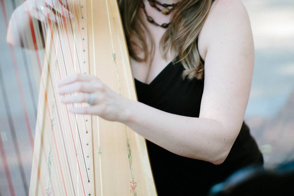 Harpist Michelle Jamesson