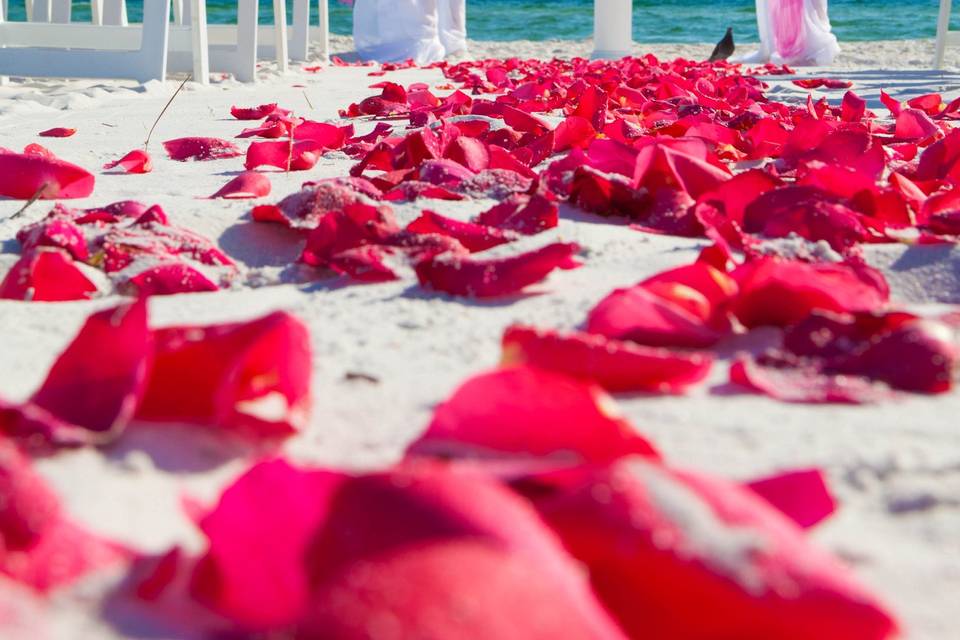 Petals for the aisle