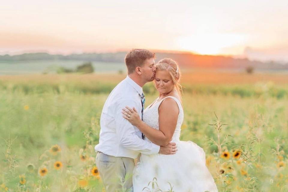 Sunflower Field