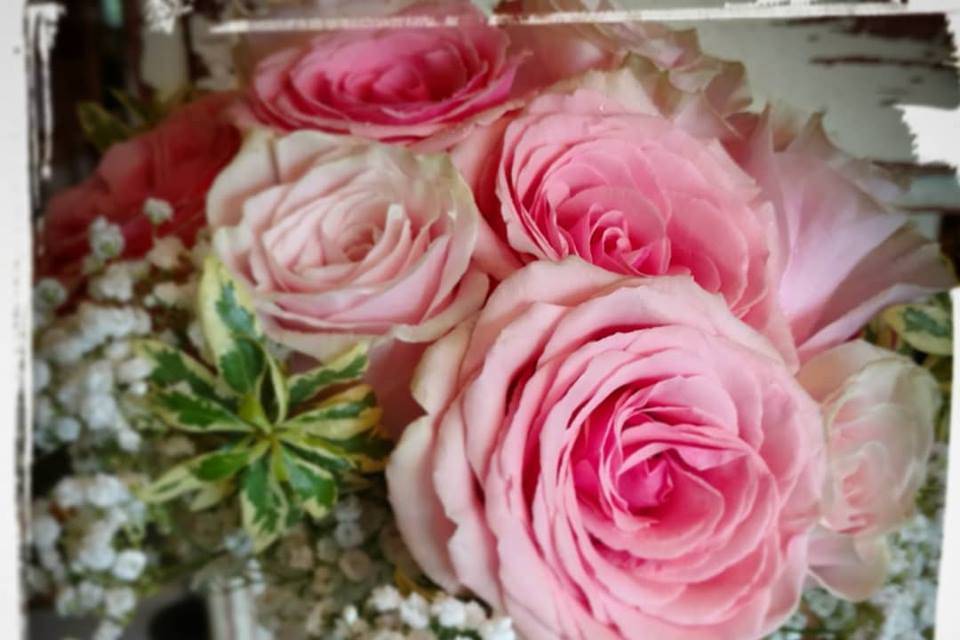 Open-cut rose and gypsophilia