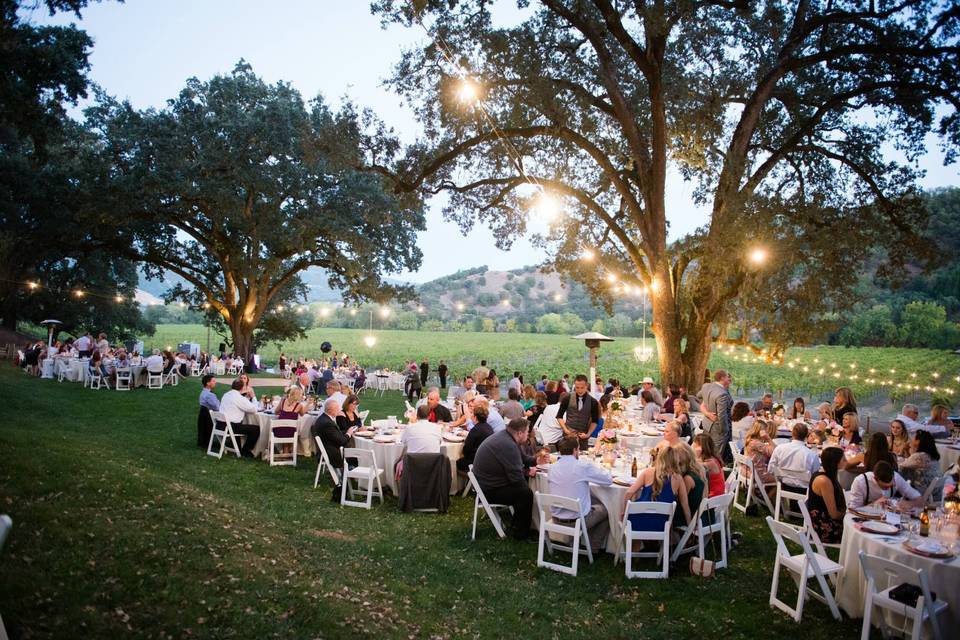 Reception under the trees