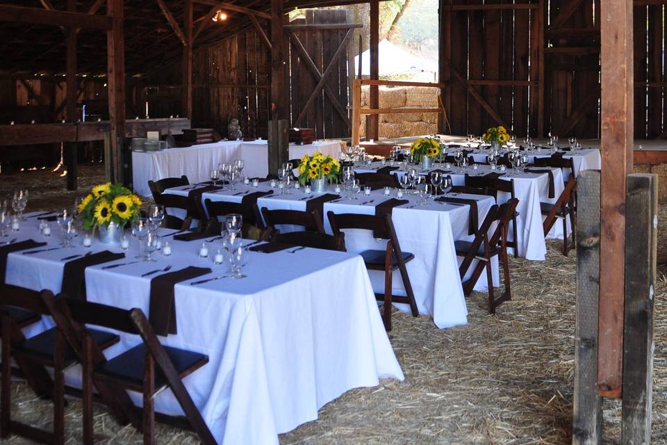 Table set-up with lighting