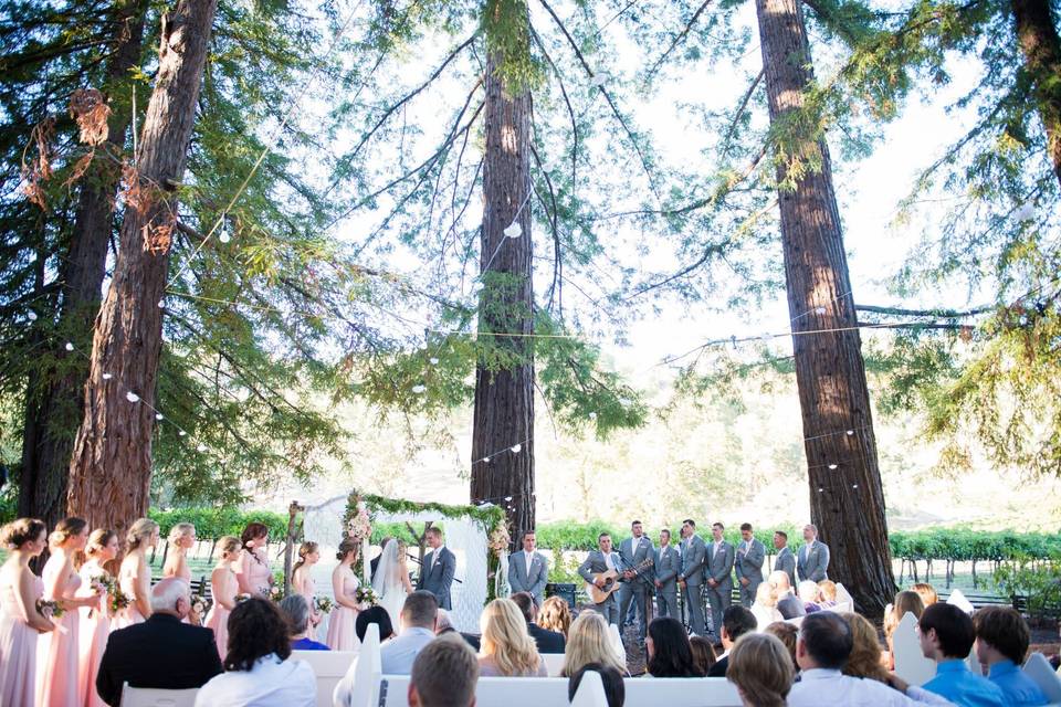 Redwoods ceremony