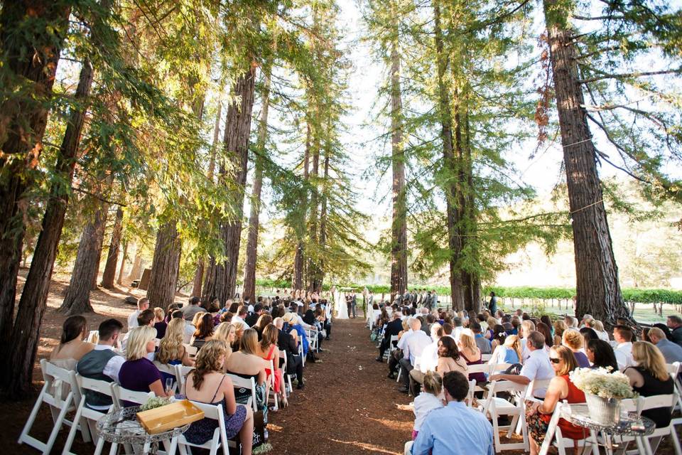 Redwoods ceremony