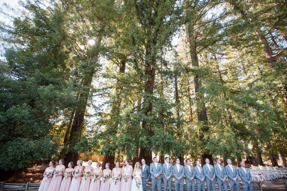 Redwoods post-ceremony