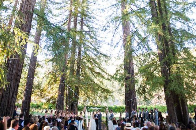 Redwoods ceremony