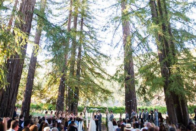 Steamer Trunk (Olive Green), Event Furniture Rental