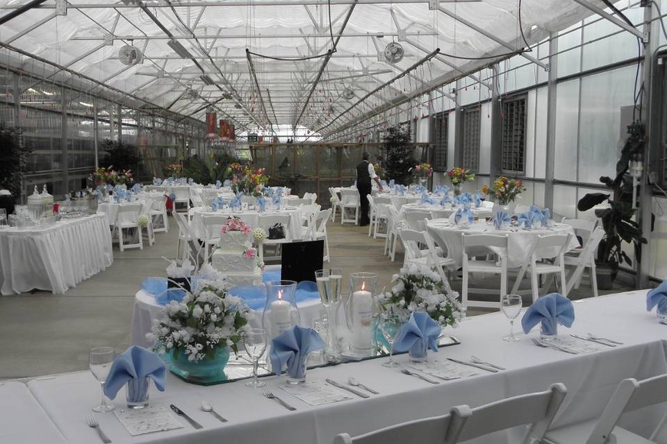 This reception was suppose to be in a backyard, but had to be moved to this facility because the rainstorm and flooded street the night before forced us to move. We are a mobile service, we can set up anywhere with A Touch of Elegance!
