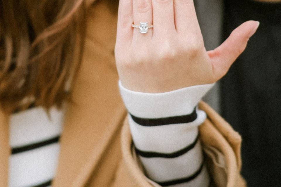 Engagement , NYC photographer