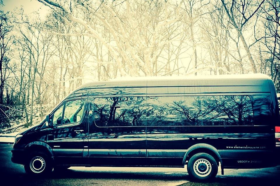 Elements Limousine Service