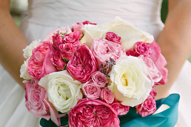 Cindy & Saylor Photographers