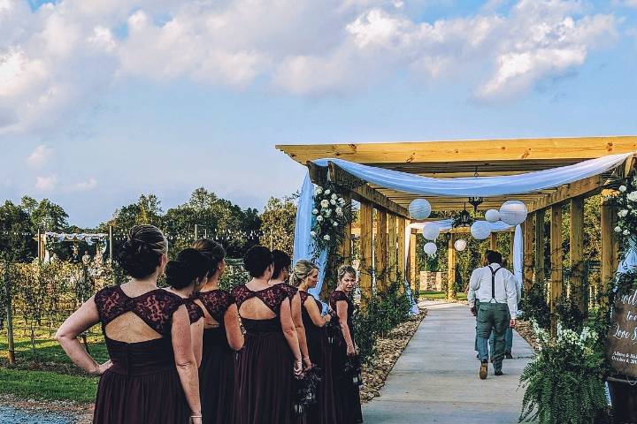 Pergola to the garden