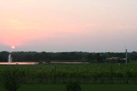 Old House Vineyards