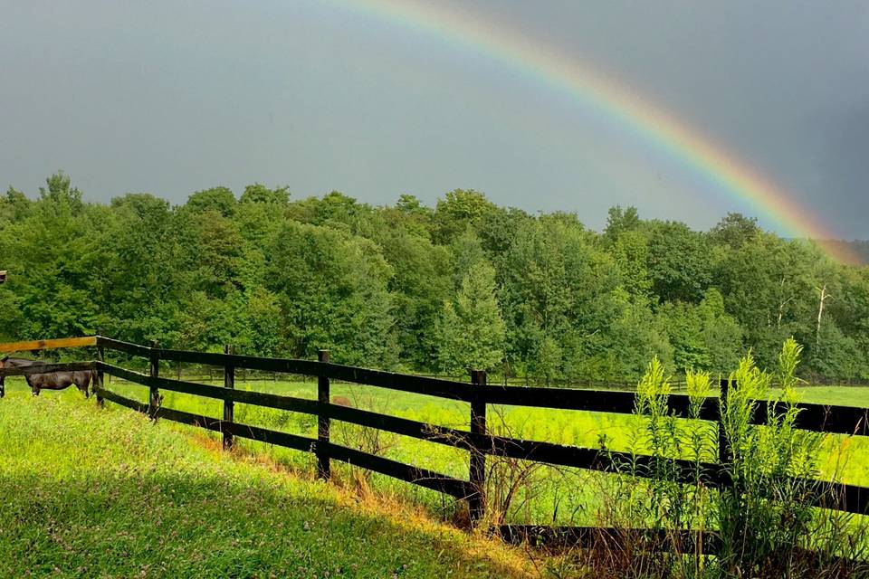 Noble Point at Stonewall Pastures