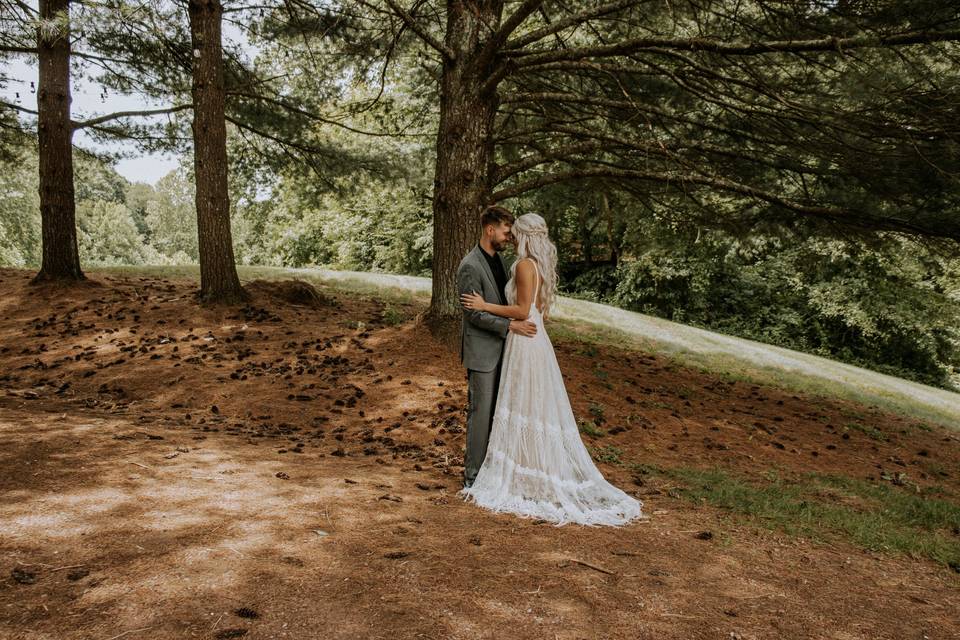 Love Under The Pines
