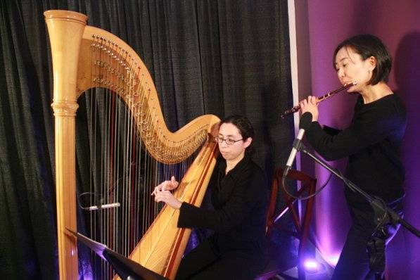 Musicians - harp flute duo