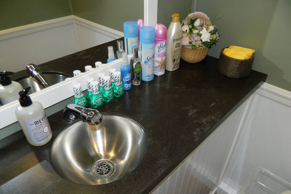 Sink and toiletries