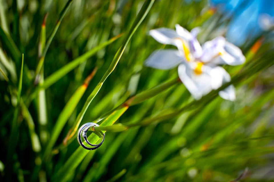 David Tjie Photography