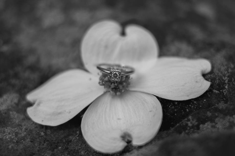 Detail Ring